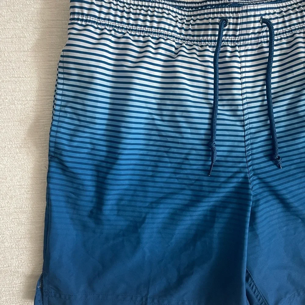 George Blue Ombre Stripe Swim Trunks